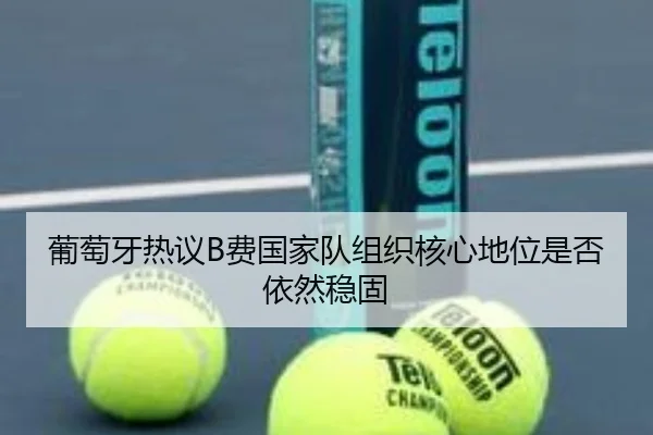 葡萄牙热议B费国家队组织核心地位是否依然稳固