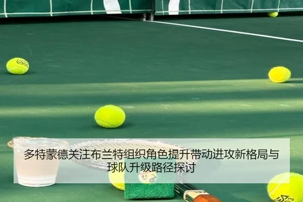 多特蒙德关注布兰特组织角色提升带动进攻新格局与球队升级路径探讨